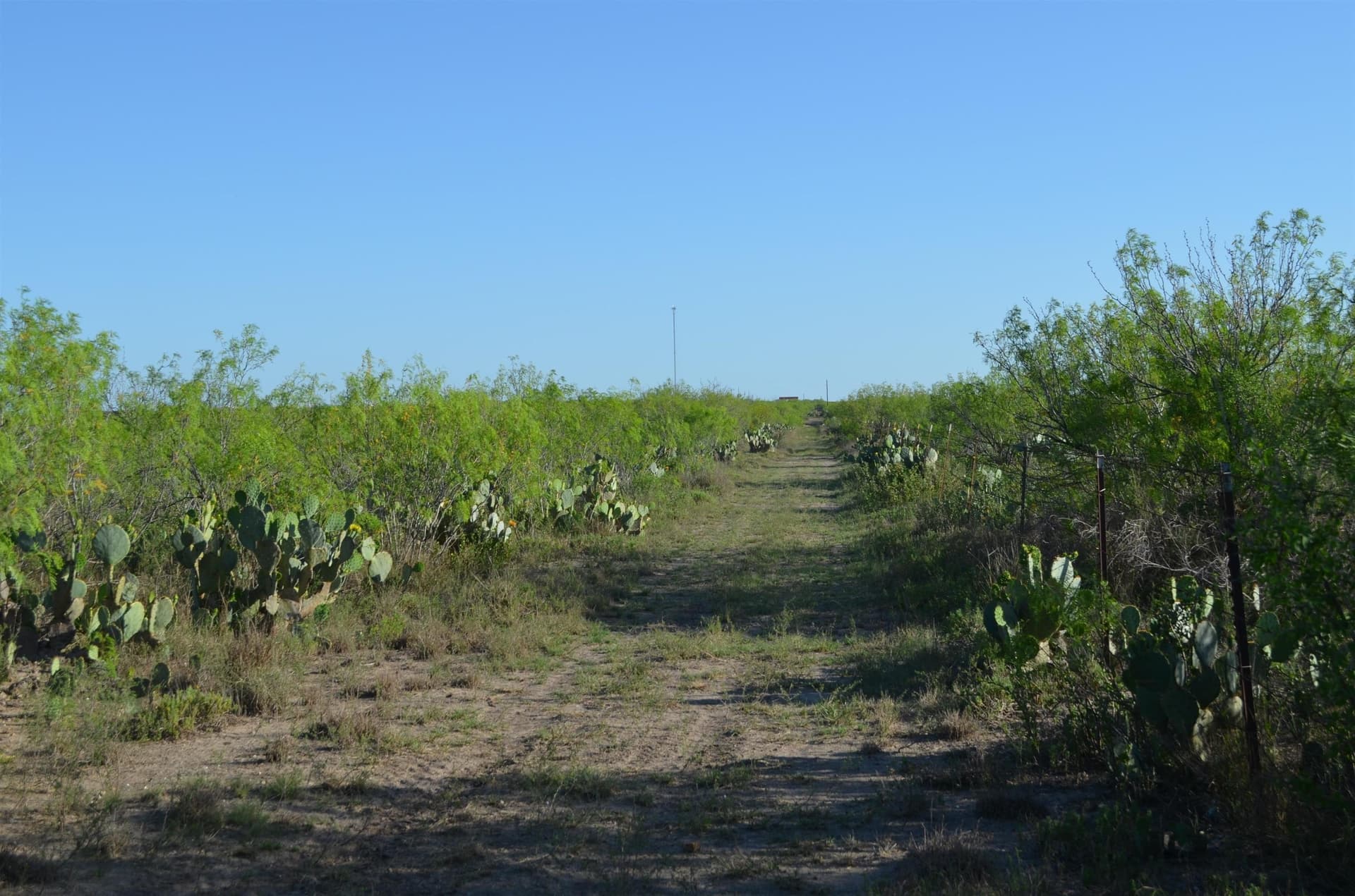 10.35 acres in WEBB County - photo 19