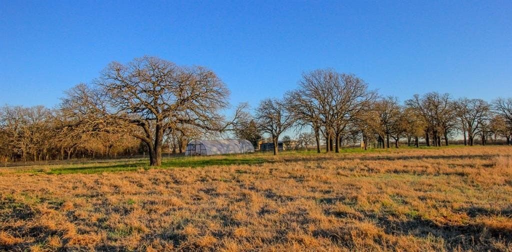 49.54 acres in Montague County - photo 6