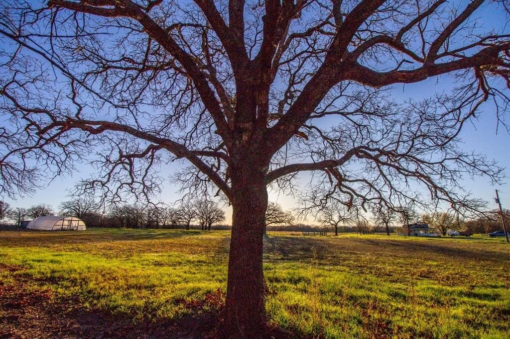 49.54 acres in Montague County - photo 18