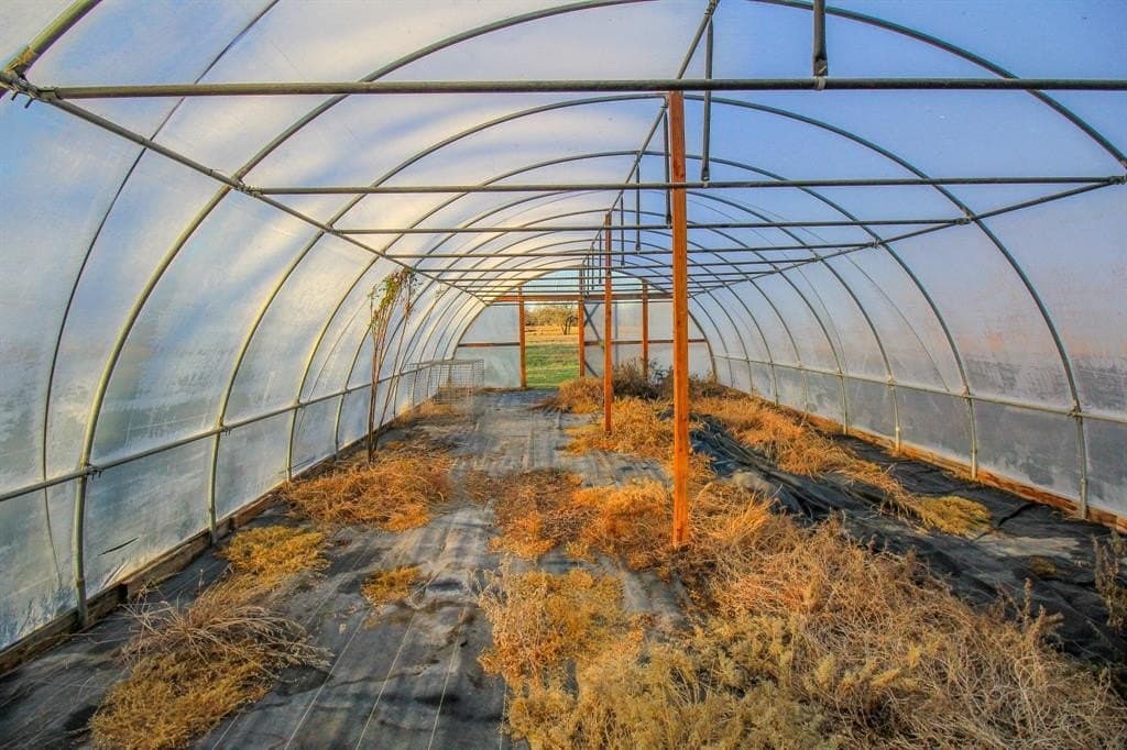 49.54 acres in Montague County - photo 17