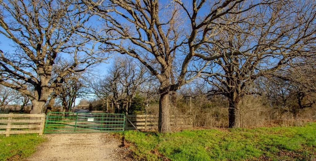 49.54 acres in Montague County - photo 31