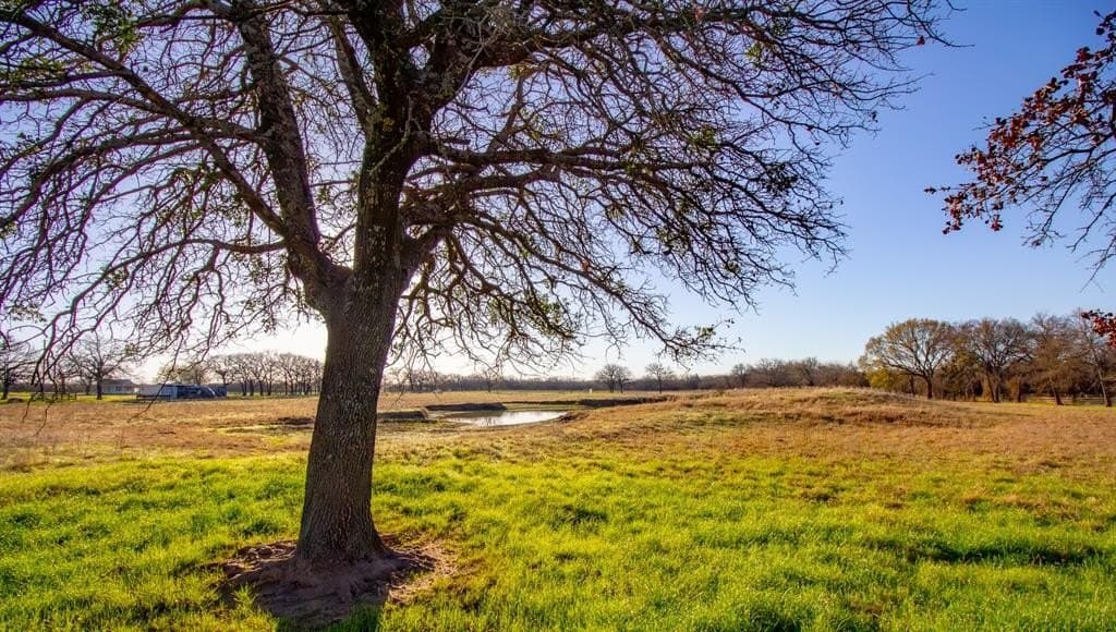 49.54 acres in Montague County - photo 19