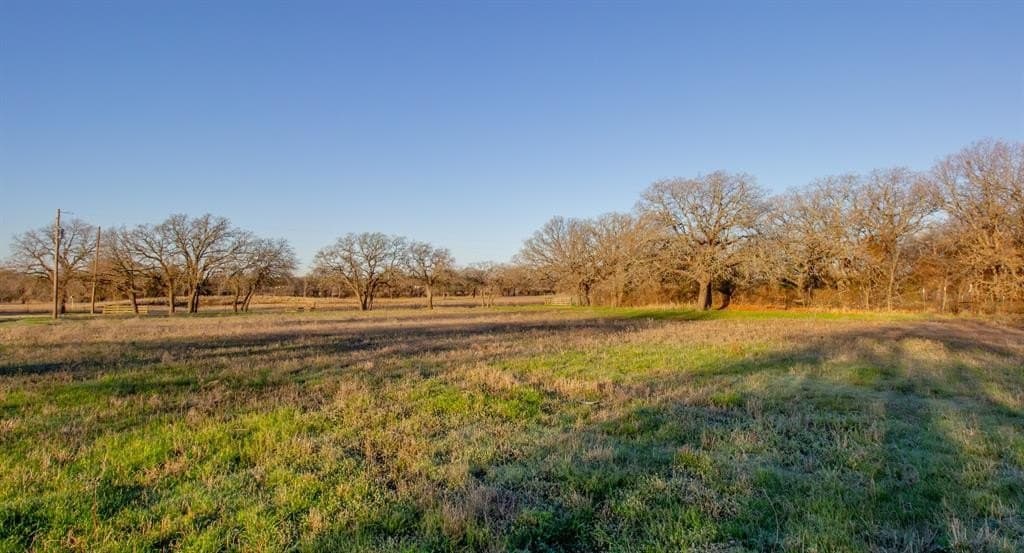 49.54 acres in Montague County - photo 29