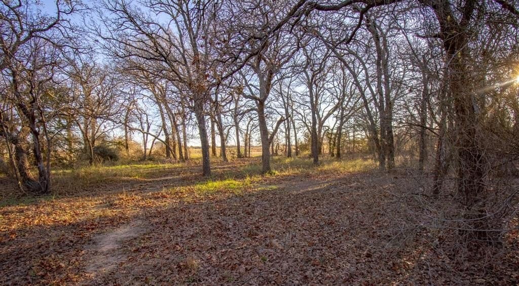 49.54 acres in Montague County - photo 23