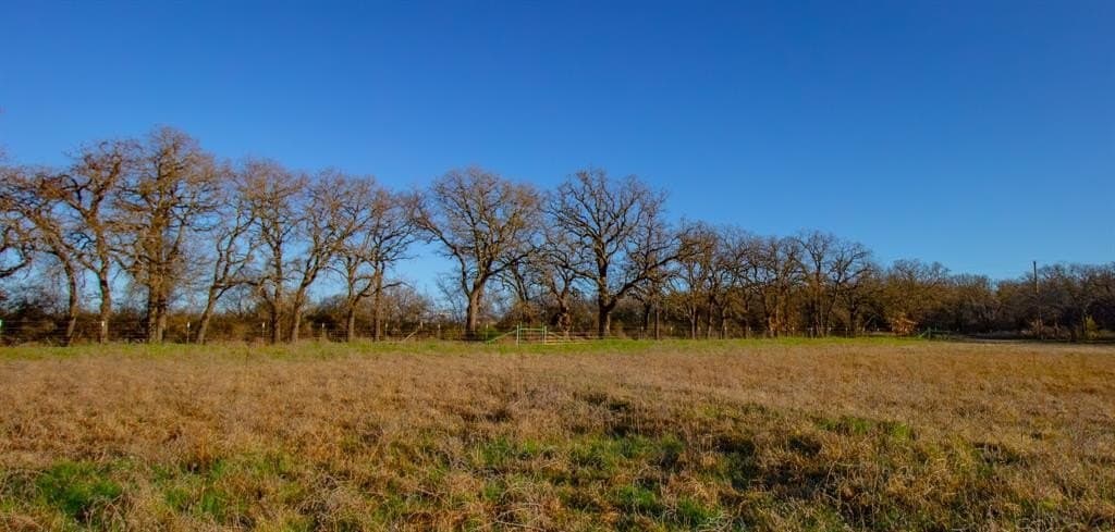 49.54 acres in Montague County - photo 22