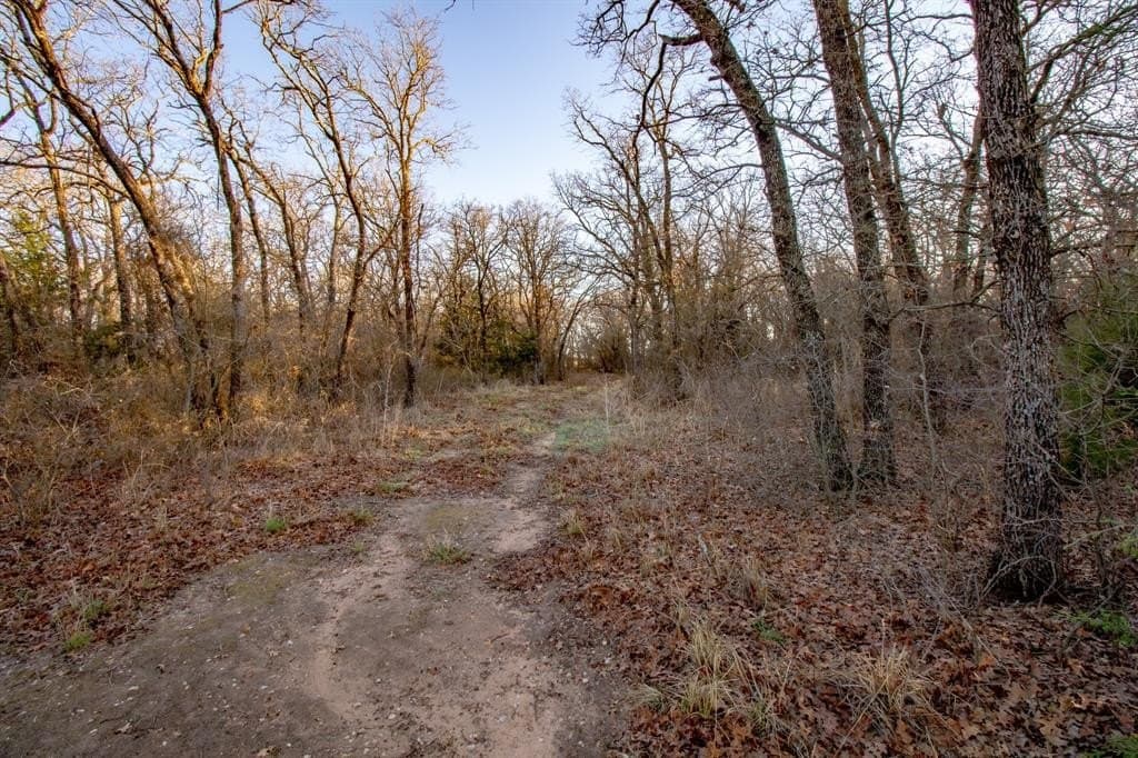 49.54 acres in Montague County - photo 26