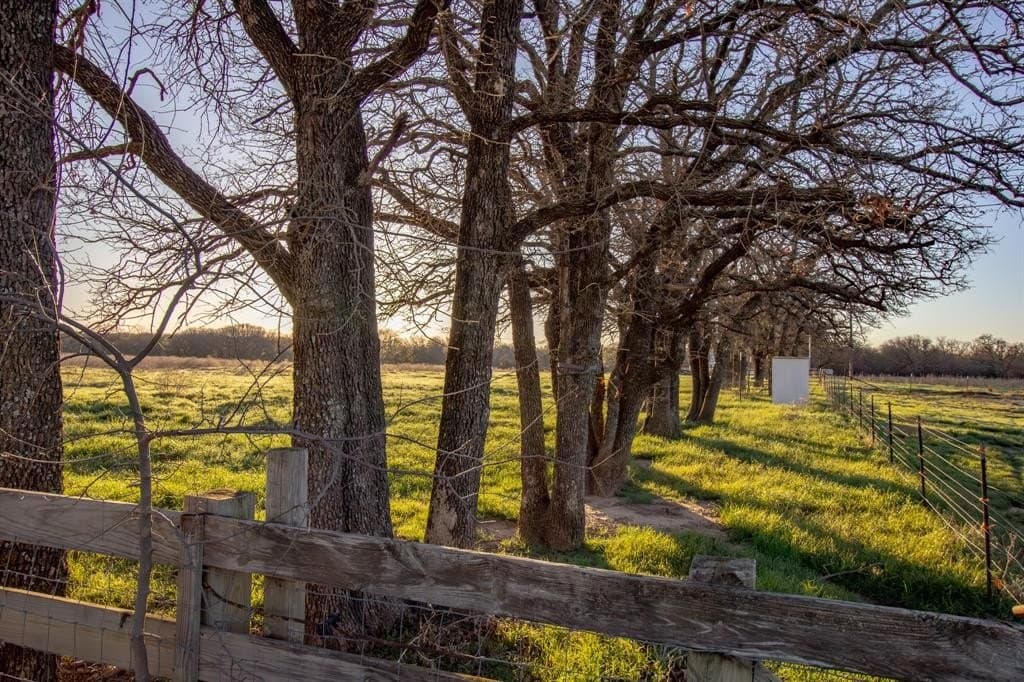 49.54 acres in Montague County - photo 15