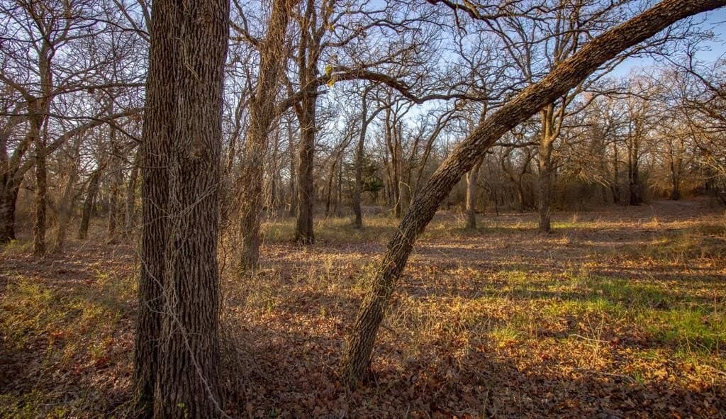 49.54 acres in Montague County - photo 24