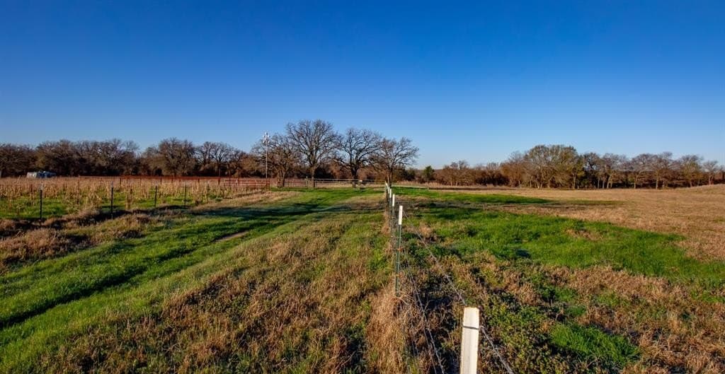 49.54 acres in Montague County - photo 28