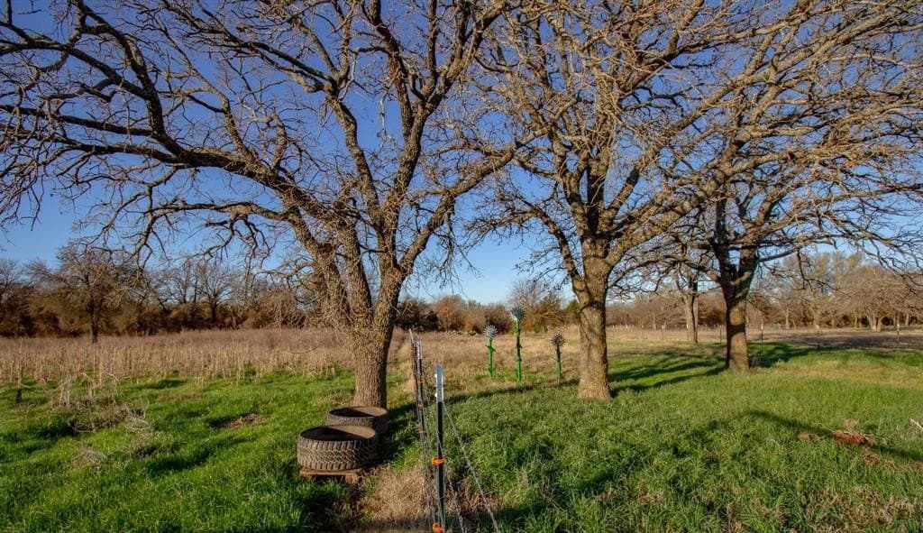 49.54 acres in Montague County - photo 21