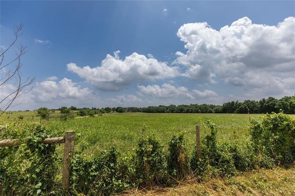 9.44 acres in Austin County - photo 5