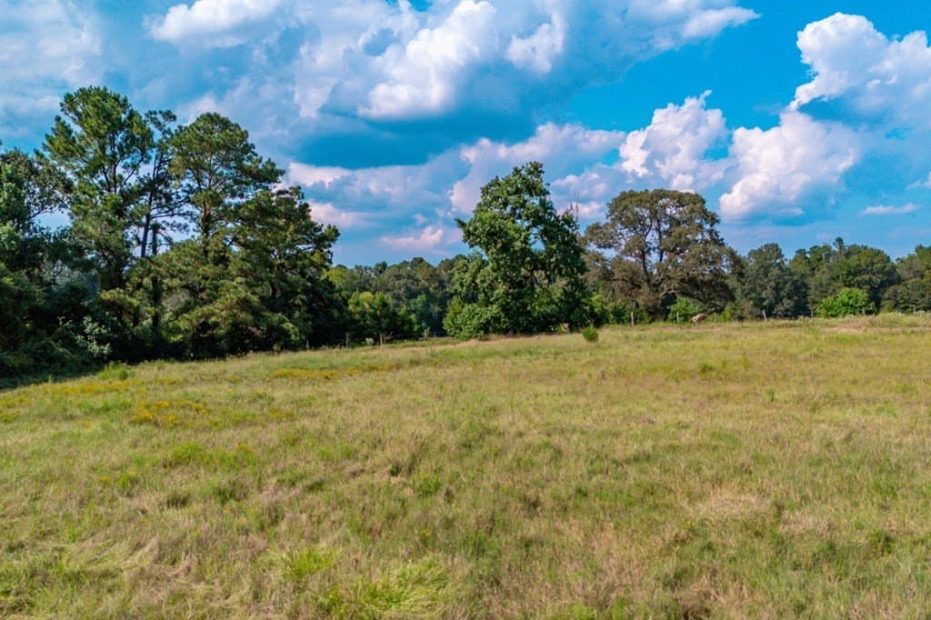 89.92 acres in Texas County - photo 33