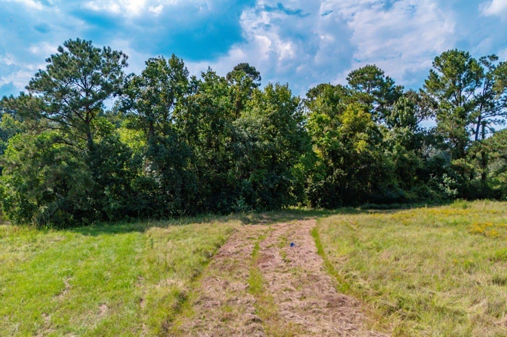 89.92 acres in Texas County - photo 32
