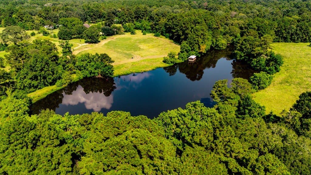 89.92 acres in Texas County - photo 14