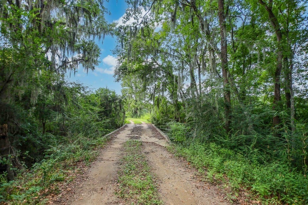 89.92 acres in Texas County - photo 29