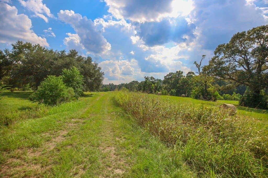 89.92 acres in Texas County - photo 18