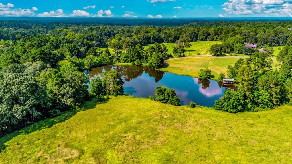 89.92 acres in Texas County - photo 6