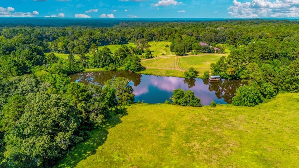 89.92 acres in Texas County - photo 11