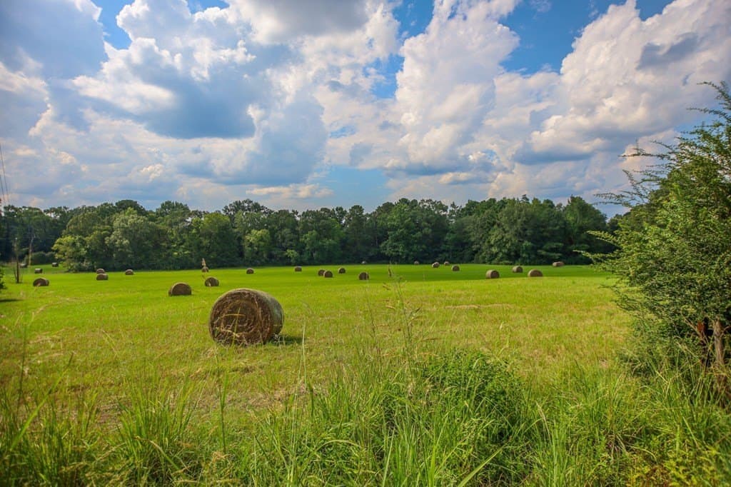 89.92 acres in Texas County - photo 17