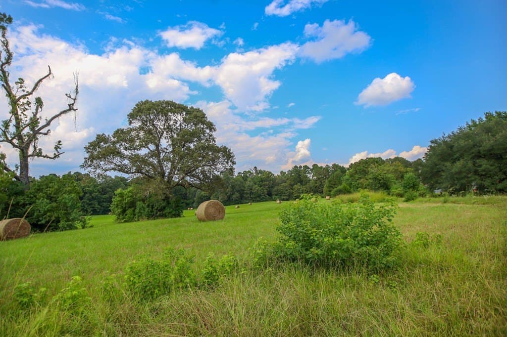89.92 acres in Texas County - photo 24