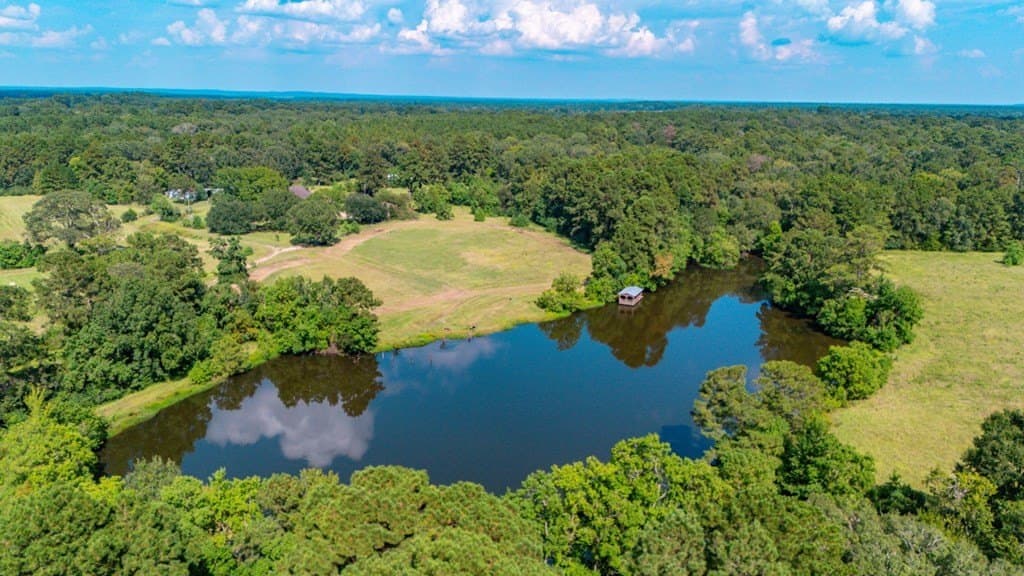 89.92 acres in Texas County - photo 16