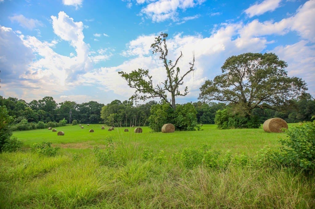 89.92 acres in Texas County - photo 23