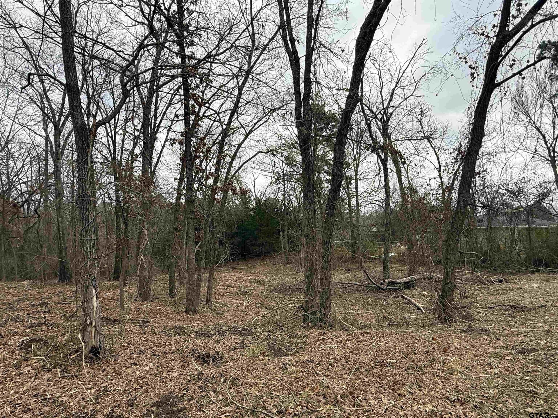 0.25 acres in Van Zandt County - photo 4