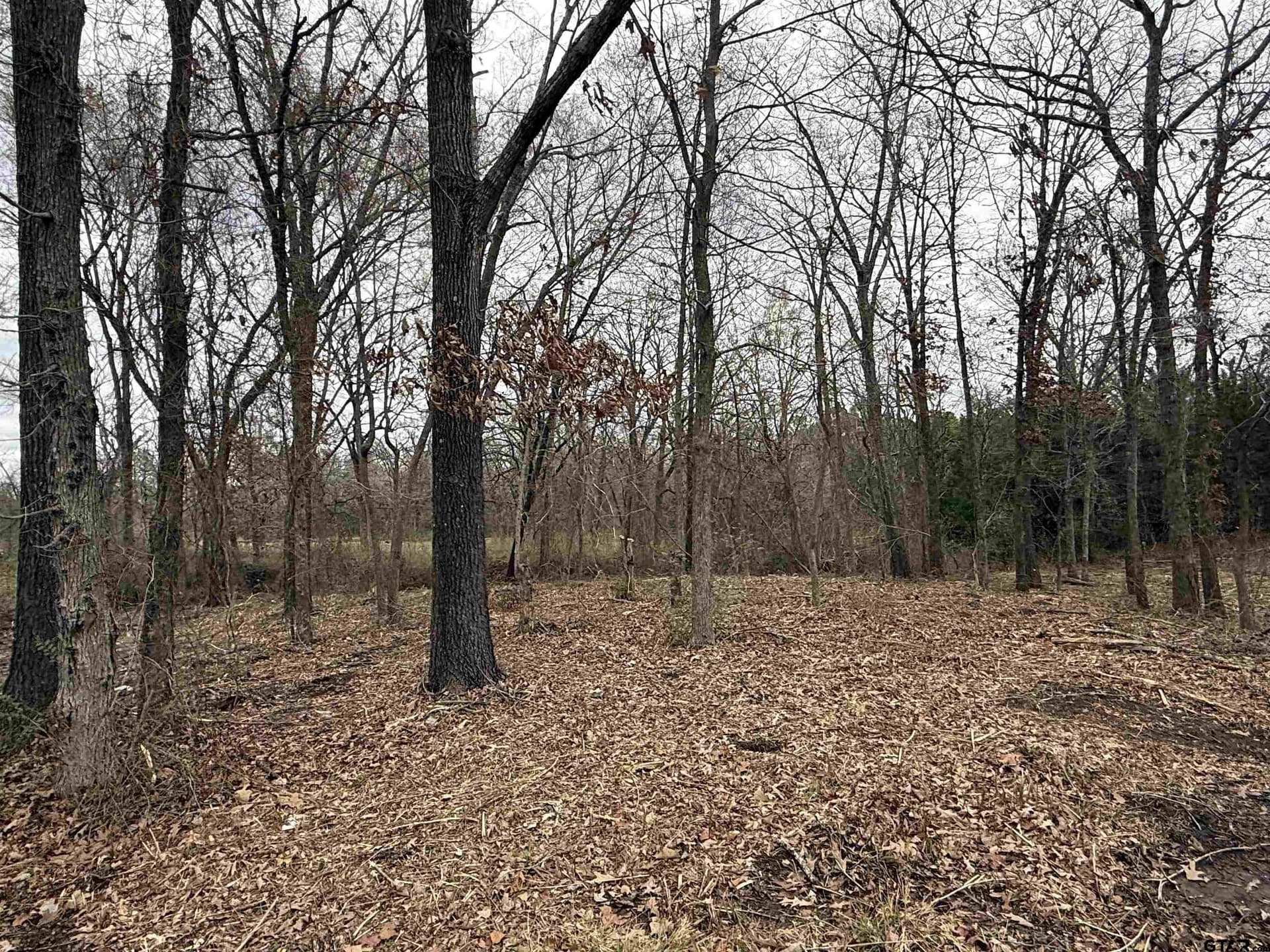 0.25 acres in Van Zandt County - photo 3