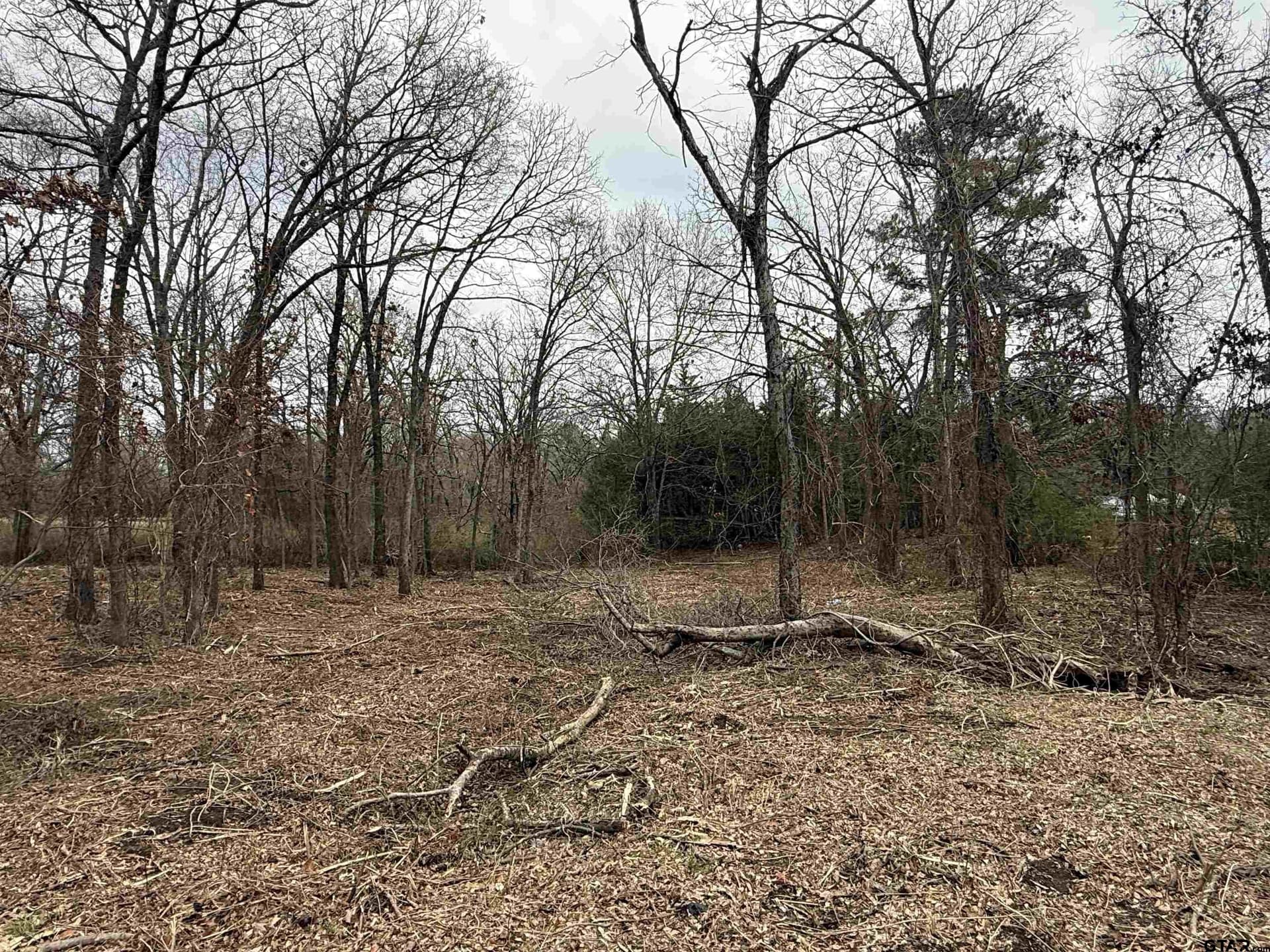 0.25 acres in Van Zandt County - photo 5