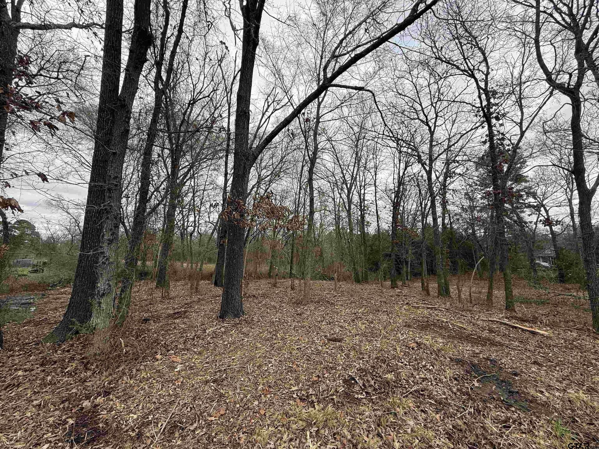 0.25 acres in Van Zandt County - photo 2