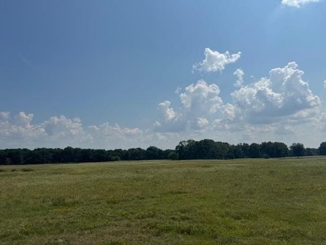 15 acres in Fannin County - photo 7