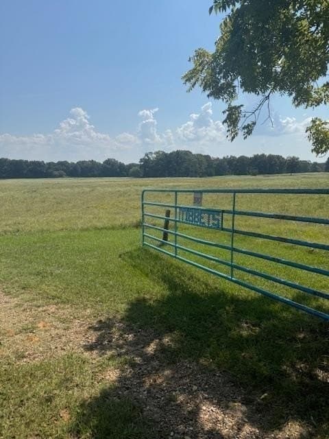 15 acres in Fannin County - photo 3