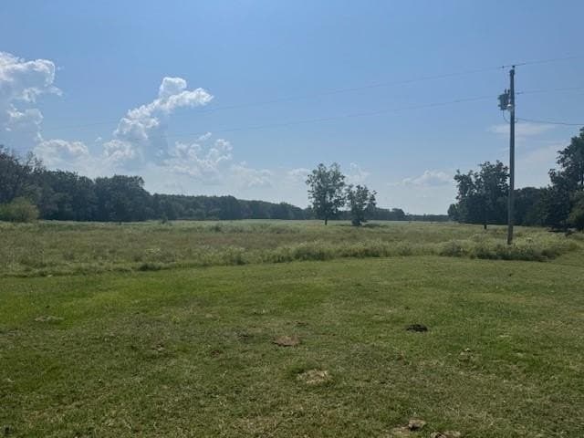 15 acres in Fannin County - photo 5