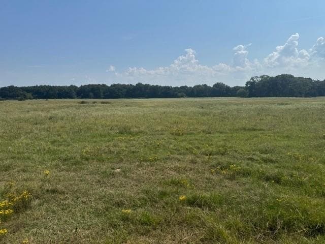 15 acres in Fannin County - photo 4