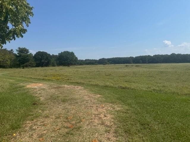 15 acres in Fannin County - photo 2
