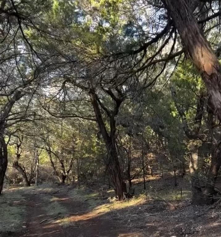 42 acres in Stephens County - photo 37