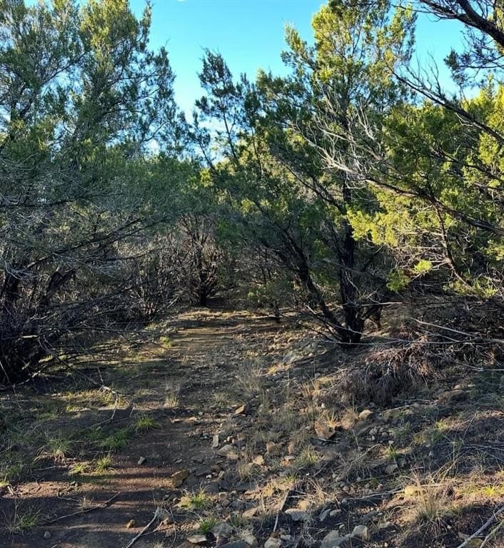 42 acres in Stephens County - photo 36