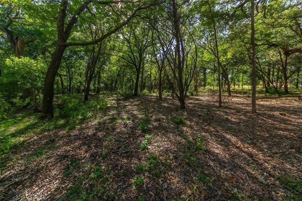1.16 acres in Somervell County - photo 5