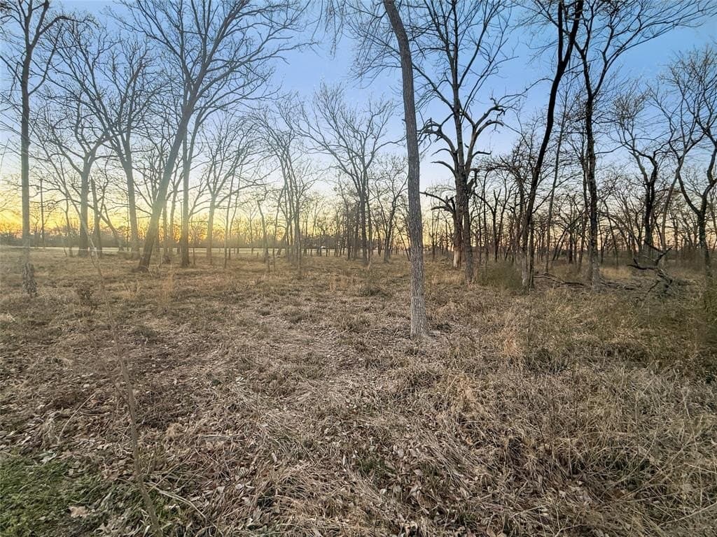 1.21 acres in Hopkins County - photo 3