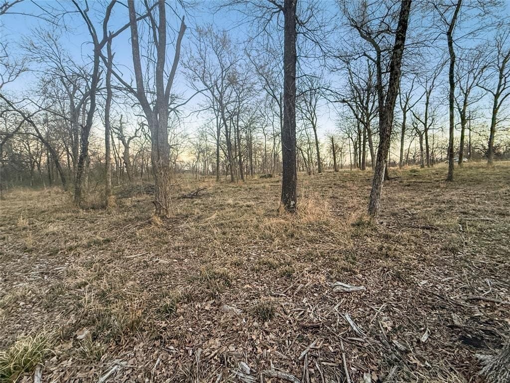 1.21 acres in Hopkins County - photo 5