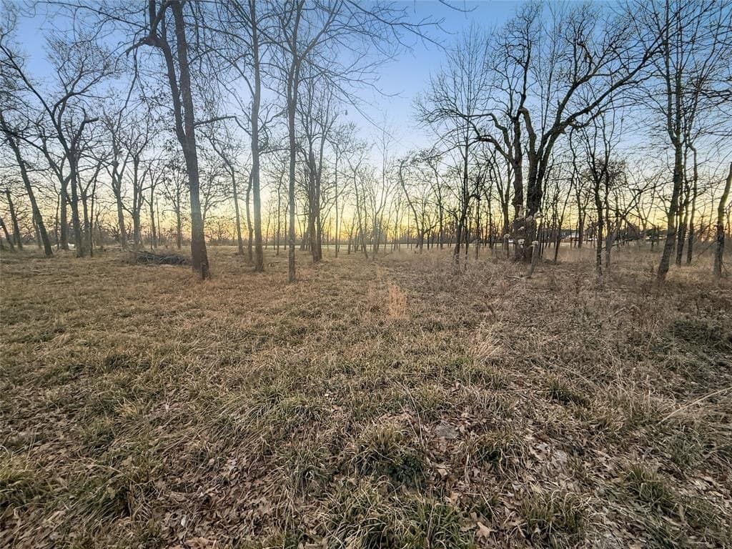 1.21 acres in Hopkins County - photo 6