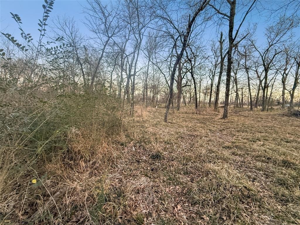 1.21 acres in Hopkins County - photo 8