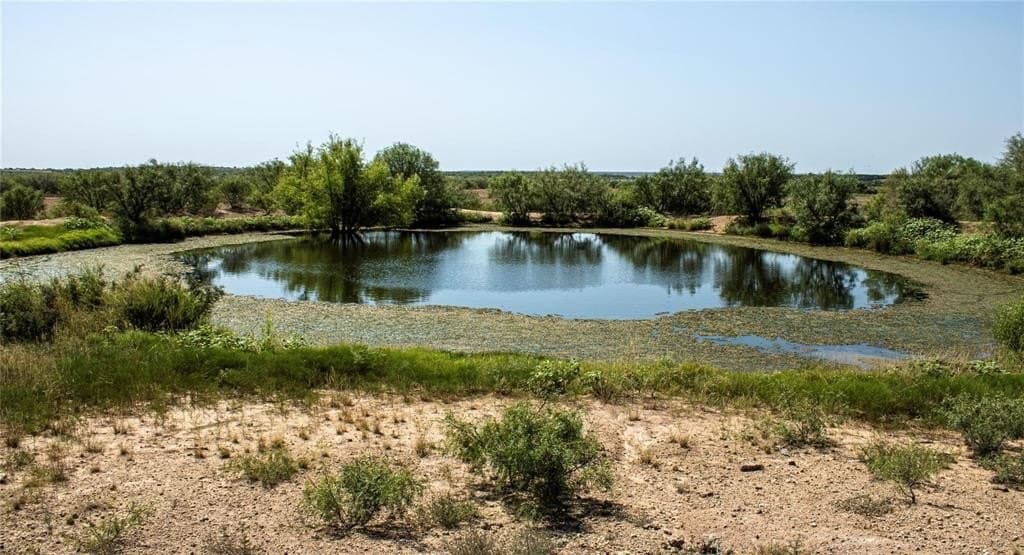 100 acres in Baylor County - photo 3