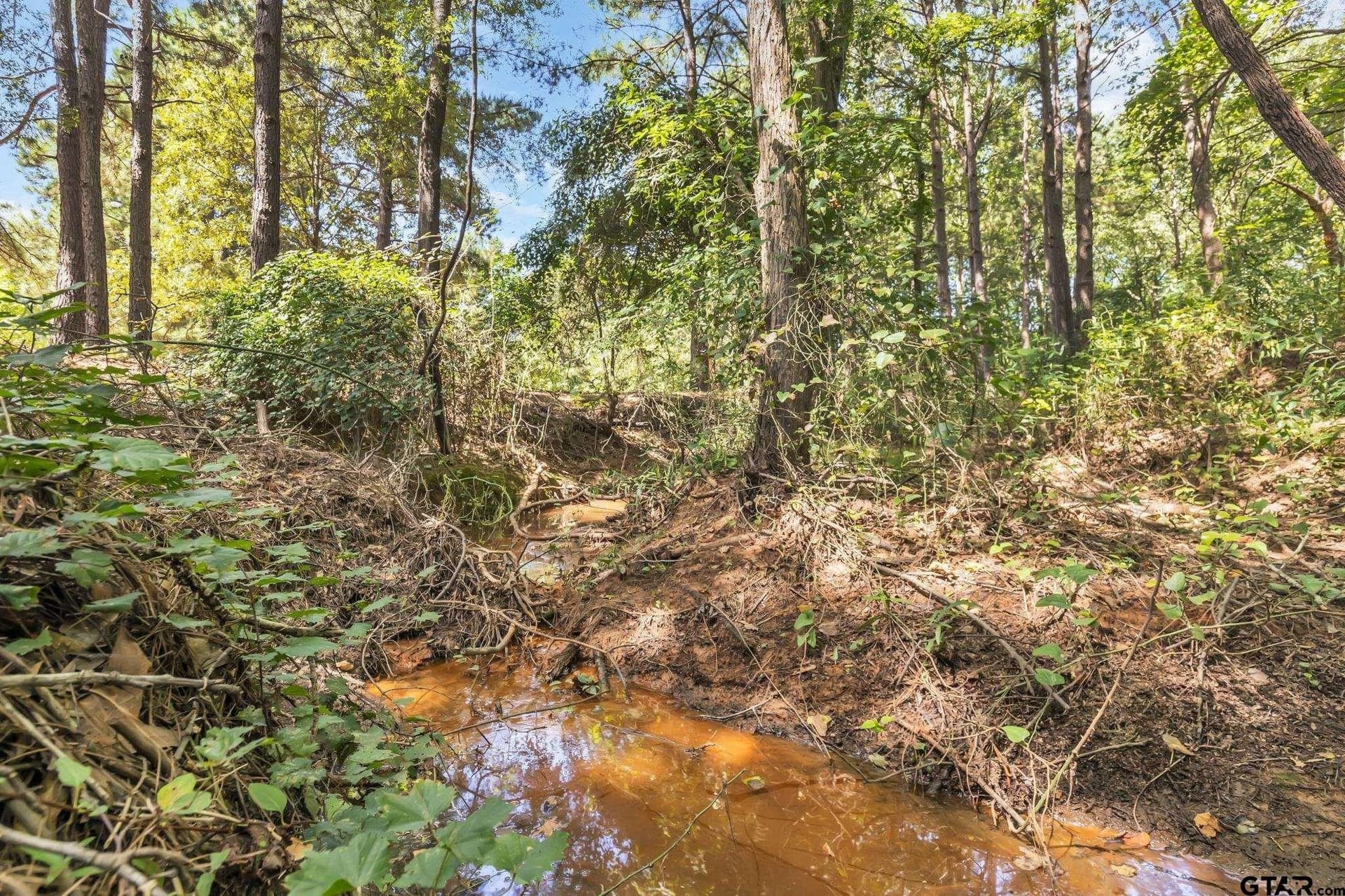 20 acres in Cherokee County - photo 23