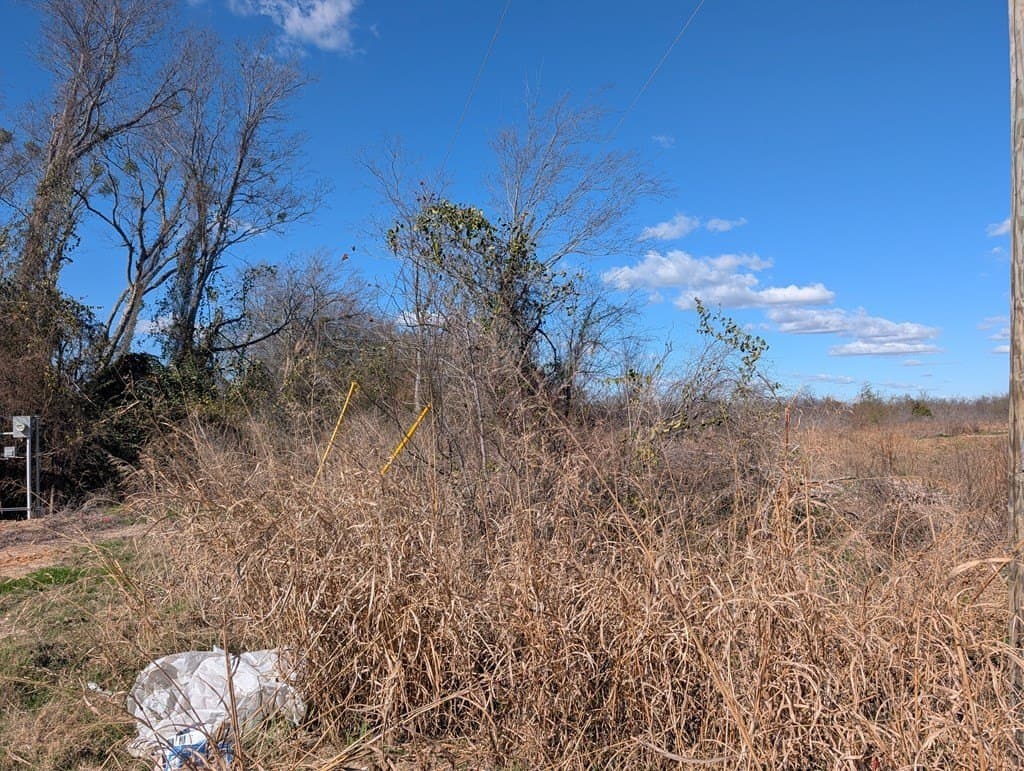 0.23 acres in Henderson County - photo 4