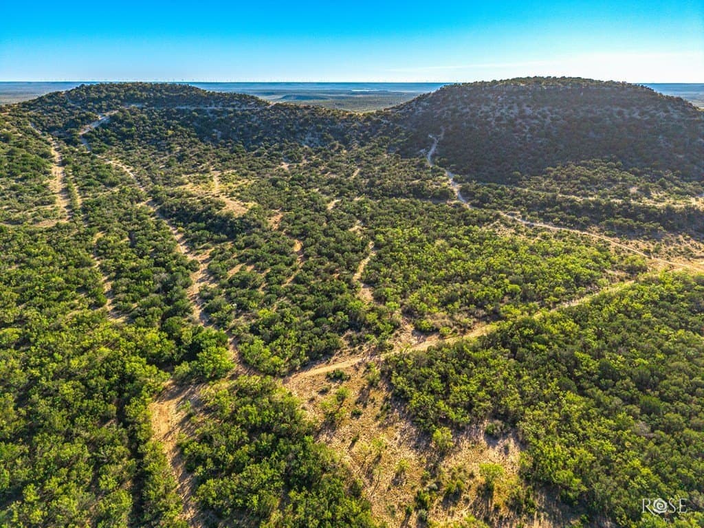 153 acres in Coke County - photo 15