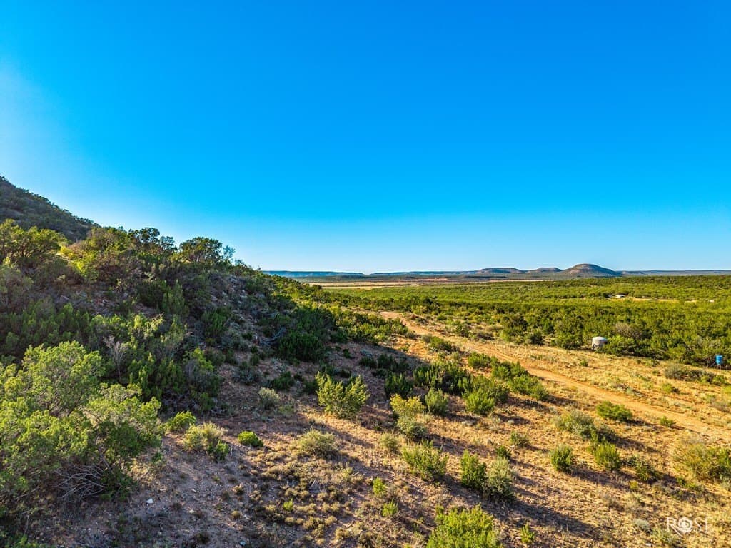 153 acres in Coke County - photo 12