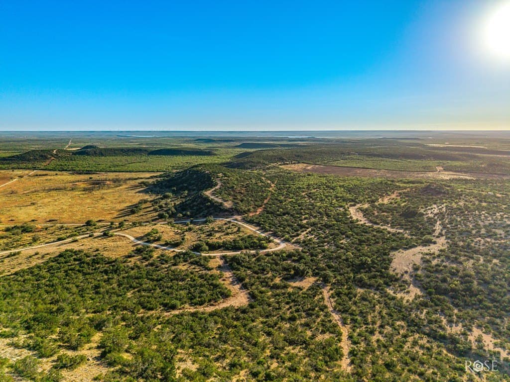 153 acres in Coke County - photo 40