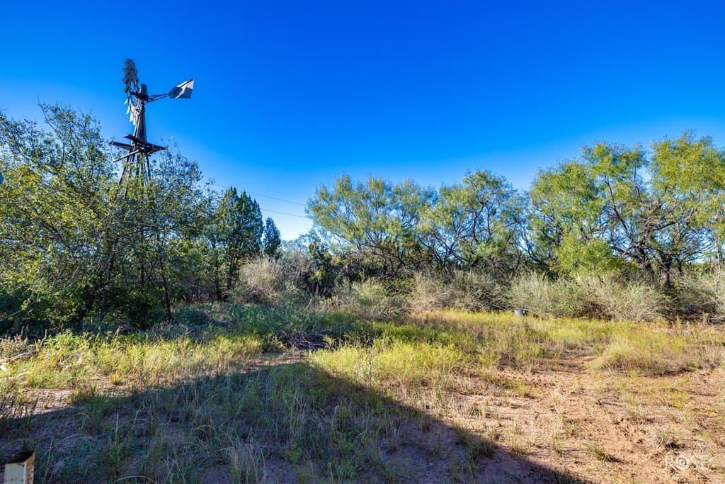 153 acres in Coke County - photo 6