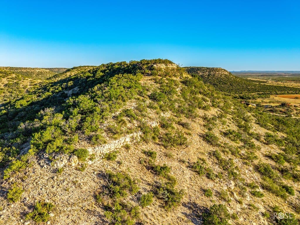 153 acres in Coke County - photo 33